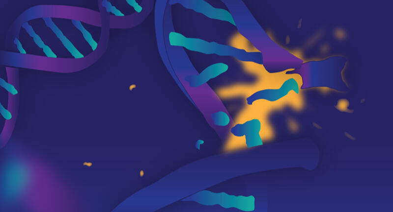 AstraZeneca AstraZeneca