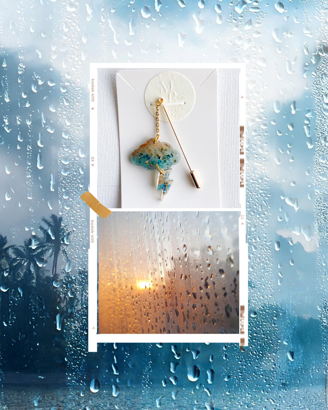 Local wild flowers used for pressing Local wild flowers used for pressing